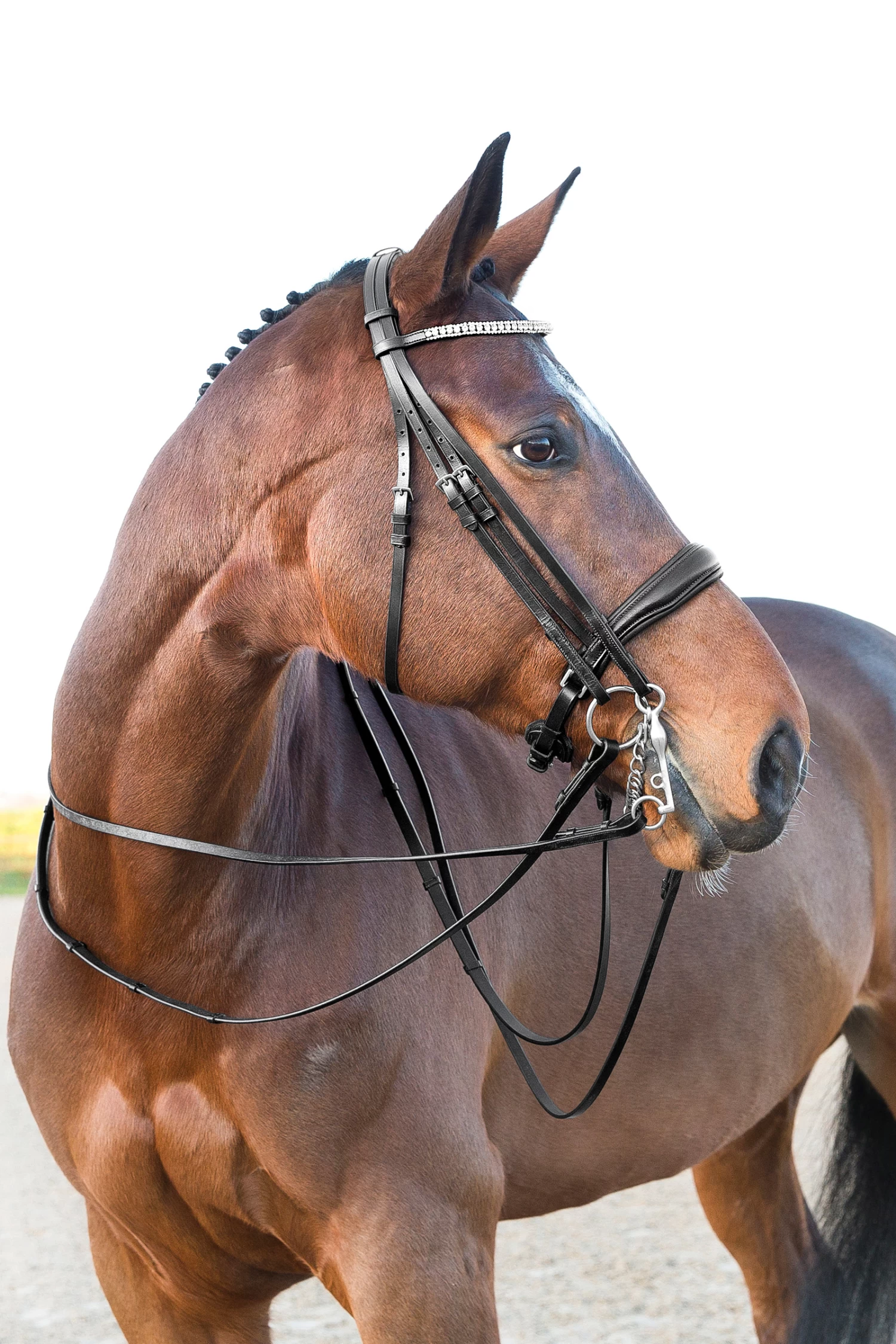 Horze Laelia Kandarenzaum – Bild 2