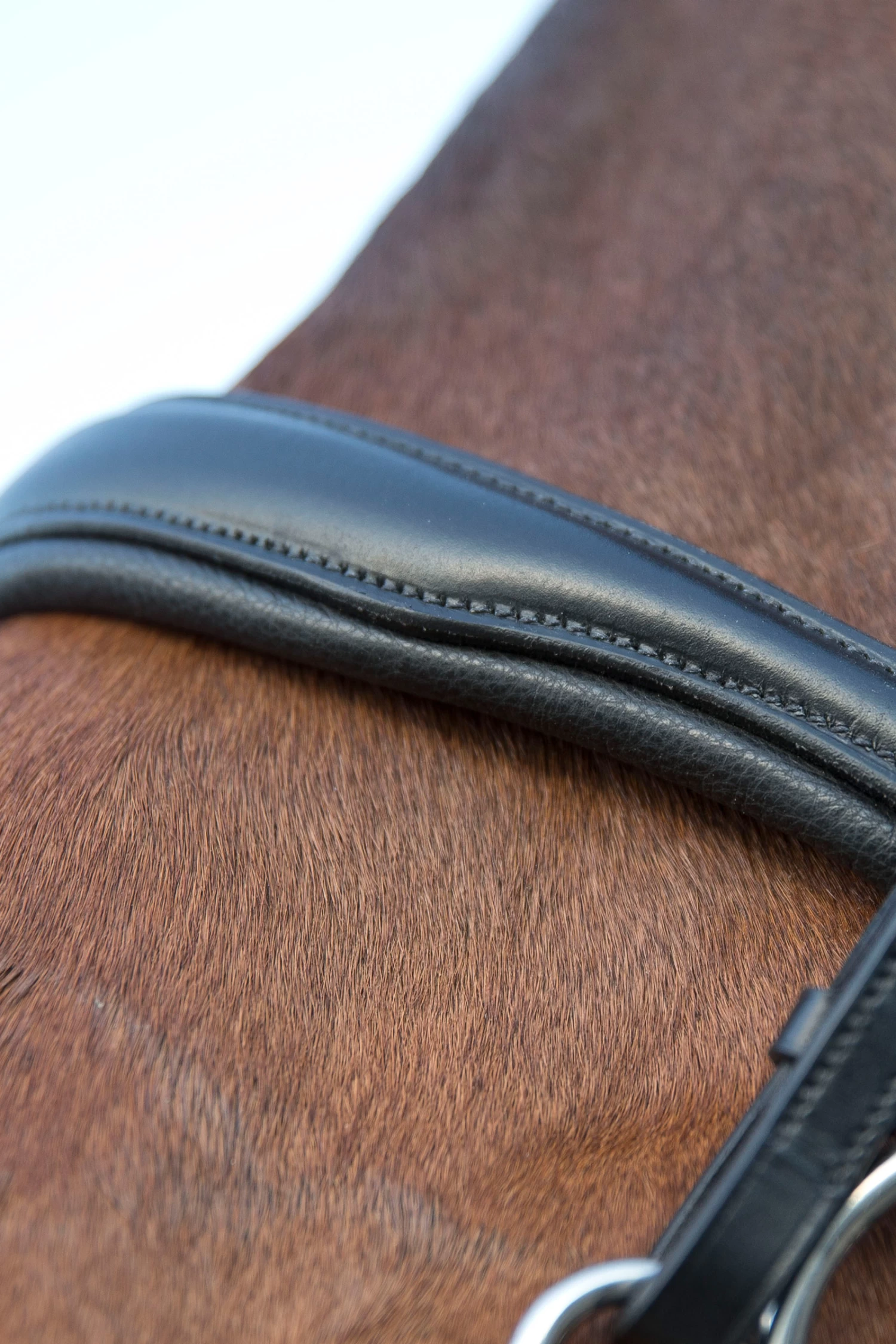 Horze Laelia Kandarenzaum – Bild 4