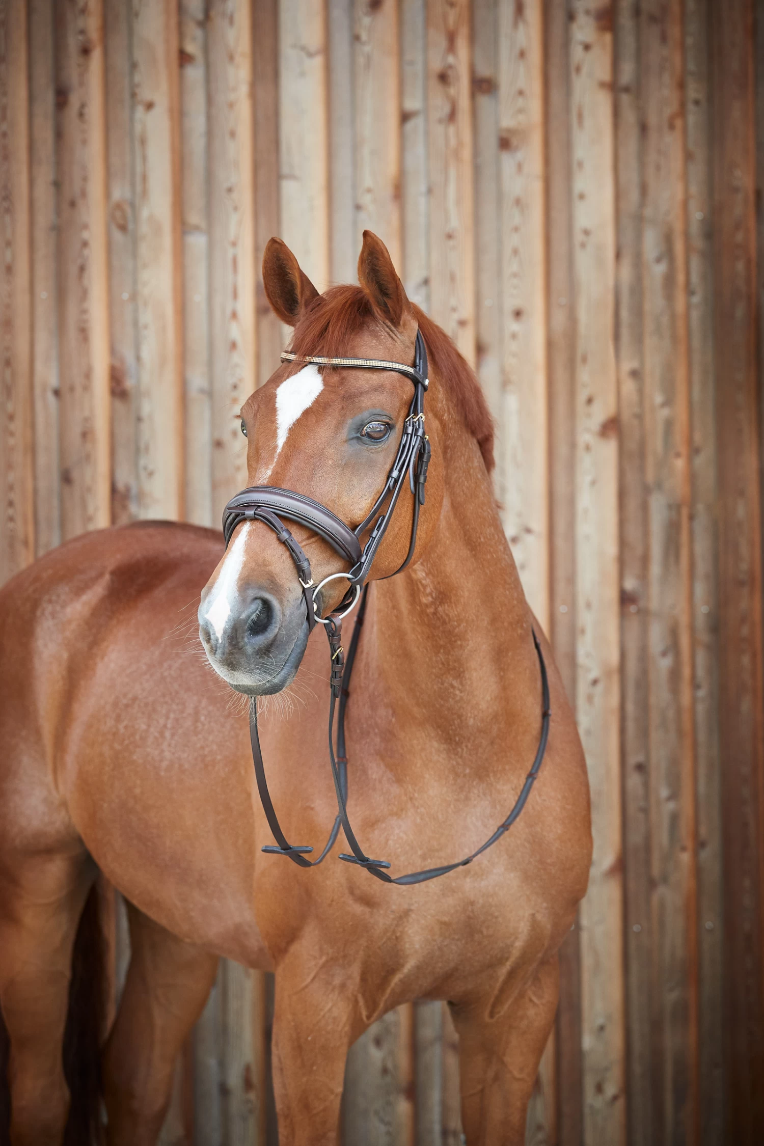 Horze Lester Trense – Bild 8