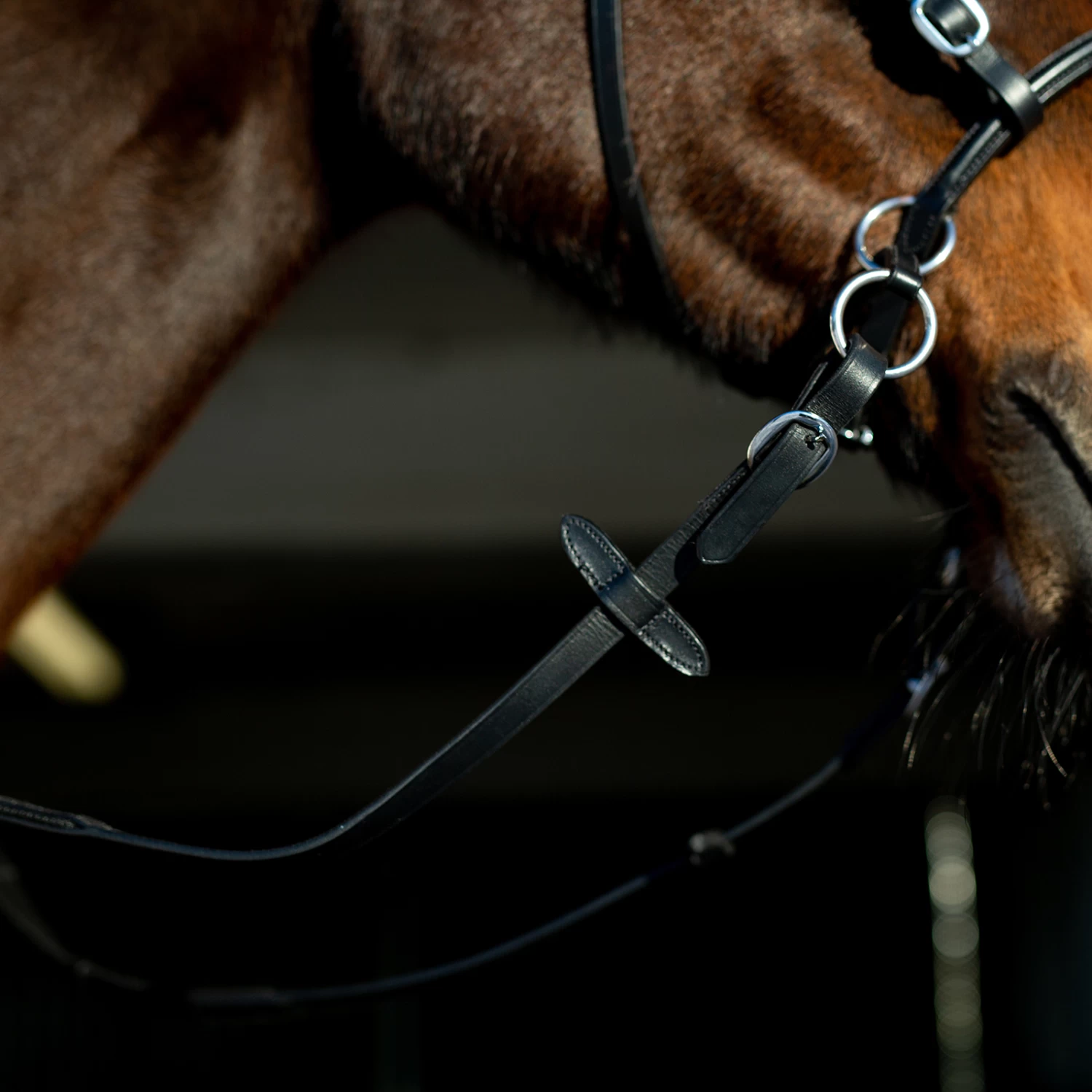 Horze Gebisslose Trense – Bild 6