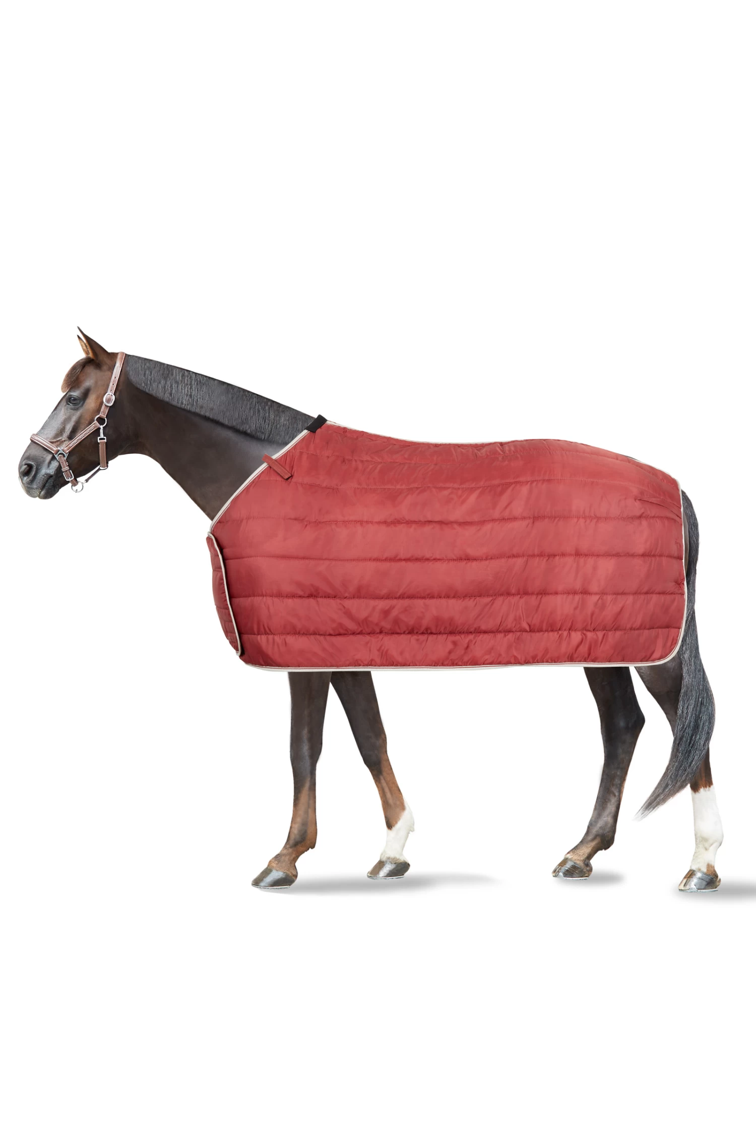 Horze Sudbury 2-in-1 Regendecke, 50g, 100g – Bild 2