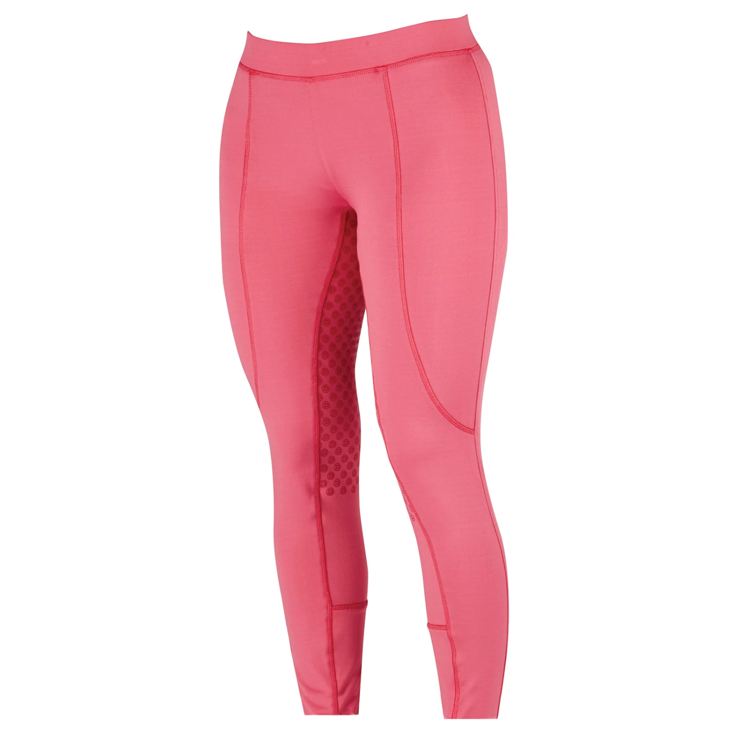 Dublin Performance Cool-It Vollbesatzreithose Für Damen – Bild 12