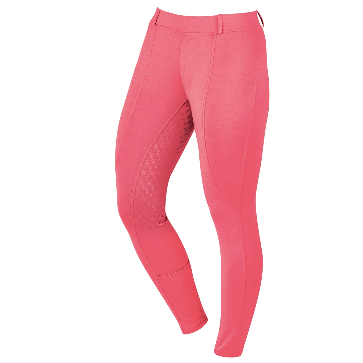 Dublin Performance Cool-It Vollbesatzreithose Für Damen – Bild 13