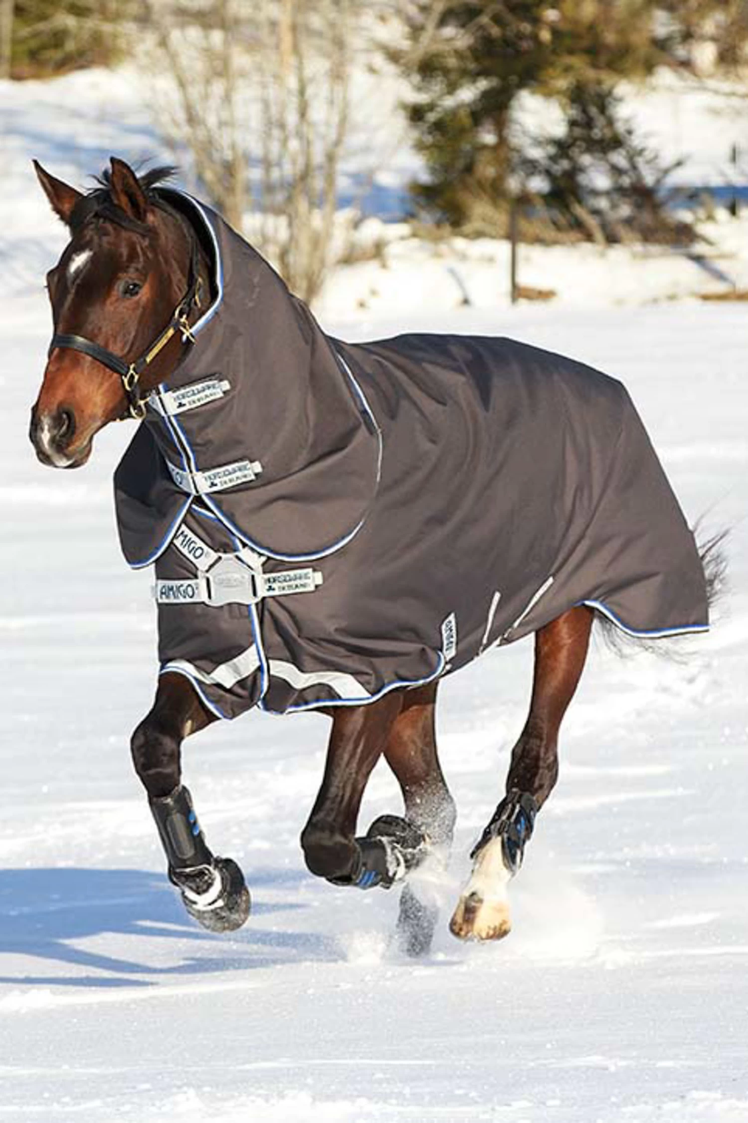 Horseware Amigo Bravo 12 Plus Weidedecke Disc-Verschluss, 250g