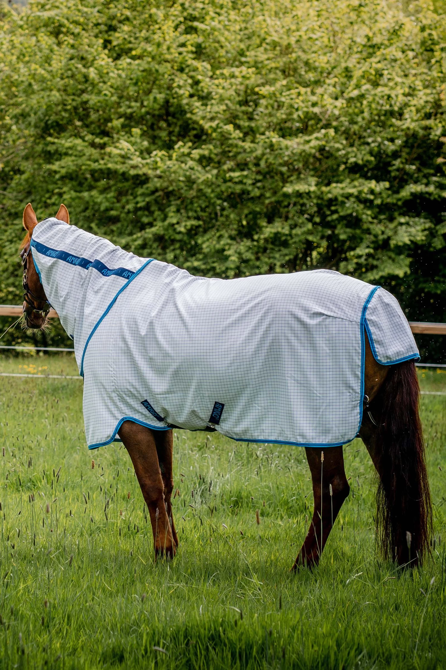 Horseware Amigo Aussie Allrounder Disc Fliegendecke Mit Abnehmbarem Halsteil – Bild 5