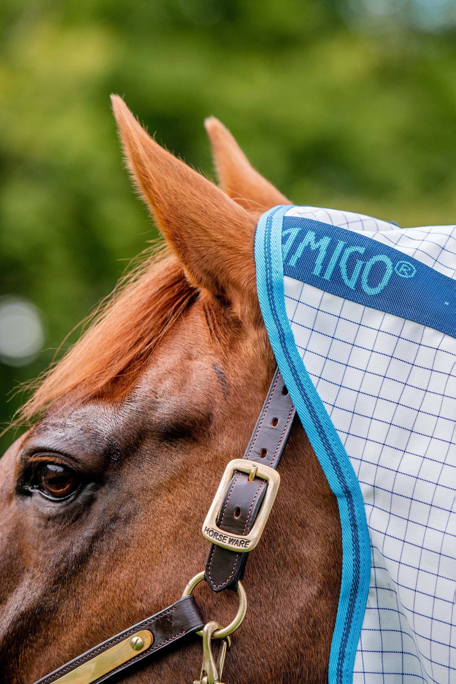 Horseware Amigo Aussie Allrounder Disc Fliegendecke Mit Abnehmbarem Halsteil – Bild 8
