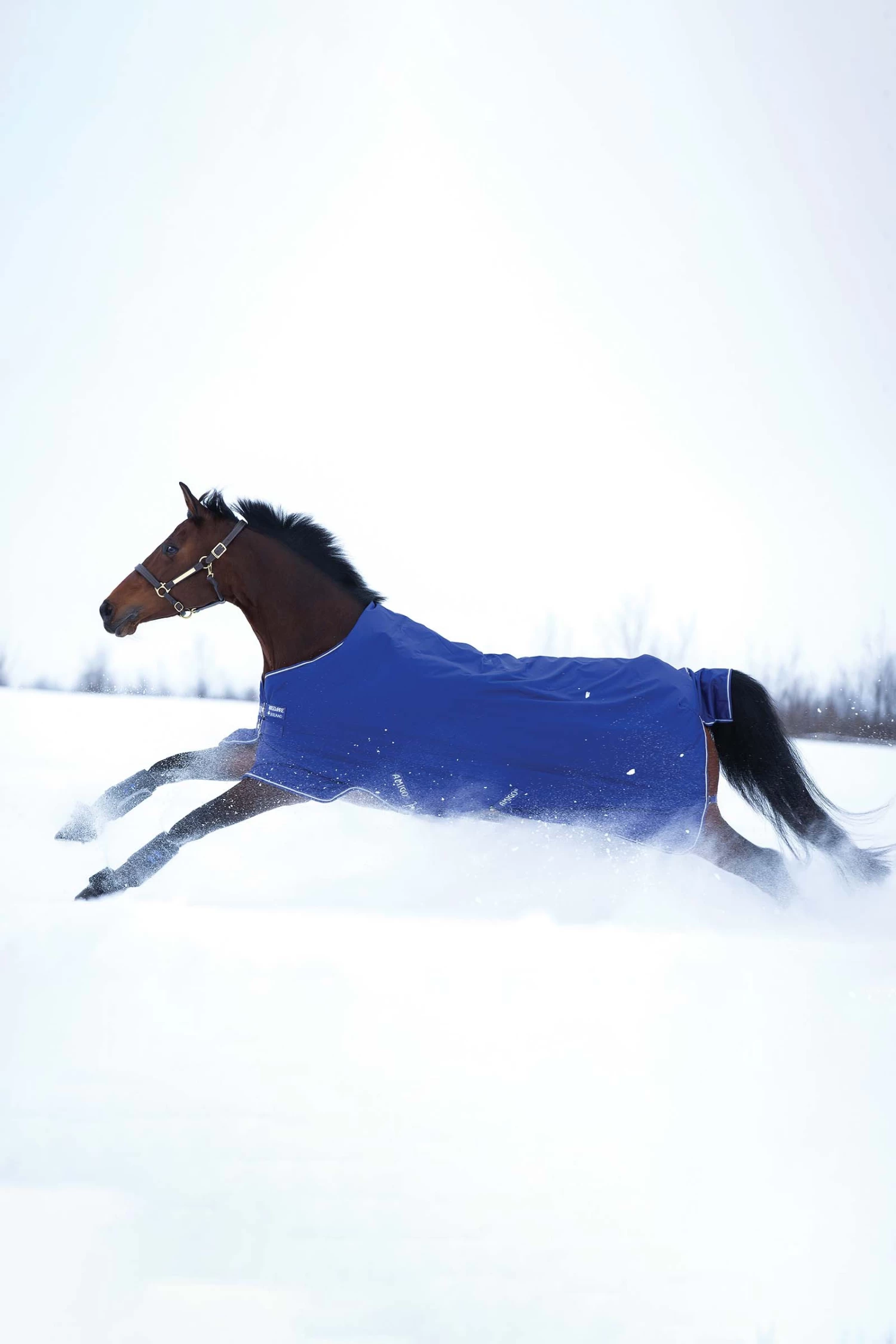 Horseware Amigo Hero 900 T/O Med Winterdecke, 200g – Bild 2