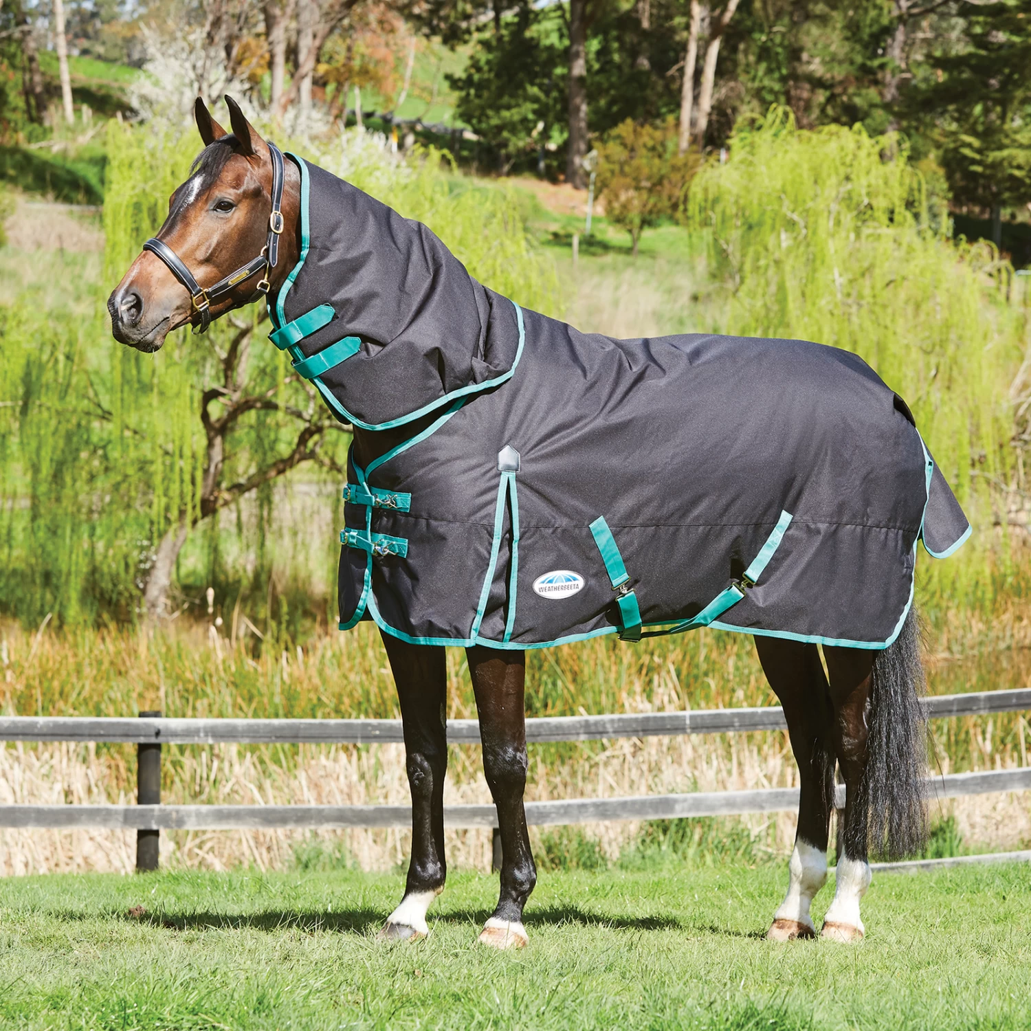 Weatherbeeta Green-Tec Regendecke Mit Abnehmbarem Halsteil, 50g – Bild 2