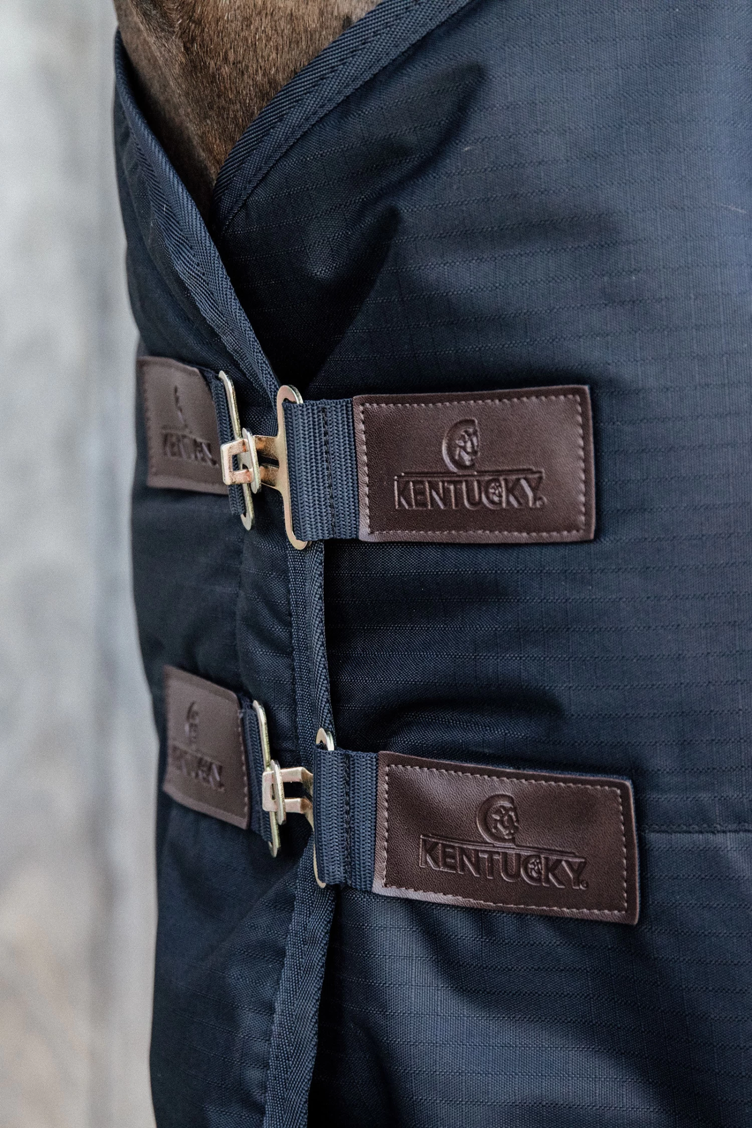 Kentucky Horsewear All Weather Waterproof Classic, Regendecke, 150g – Bild 4