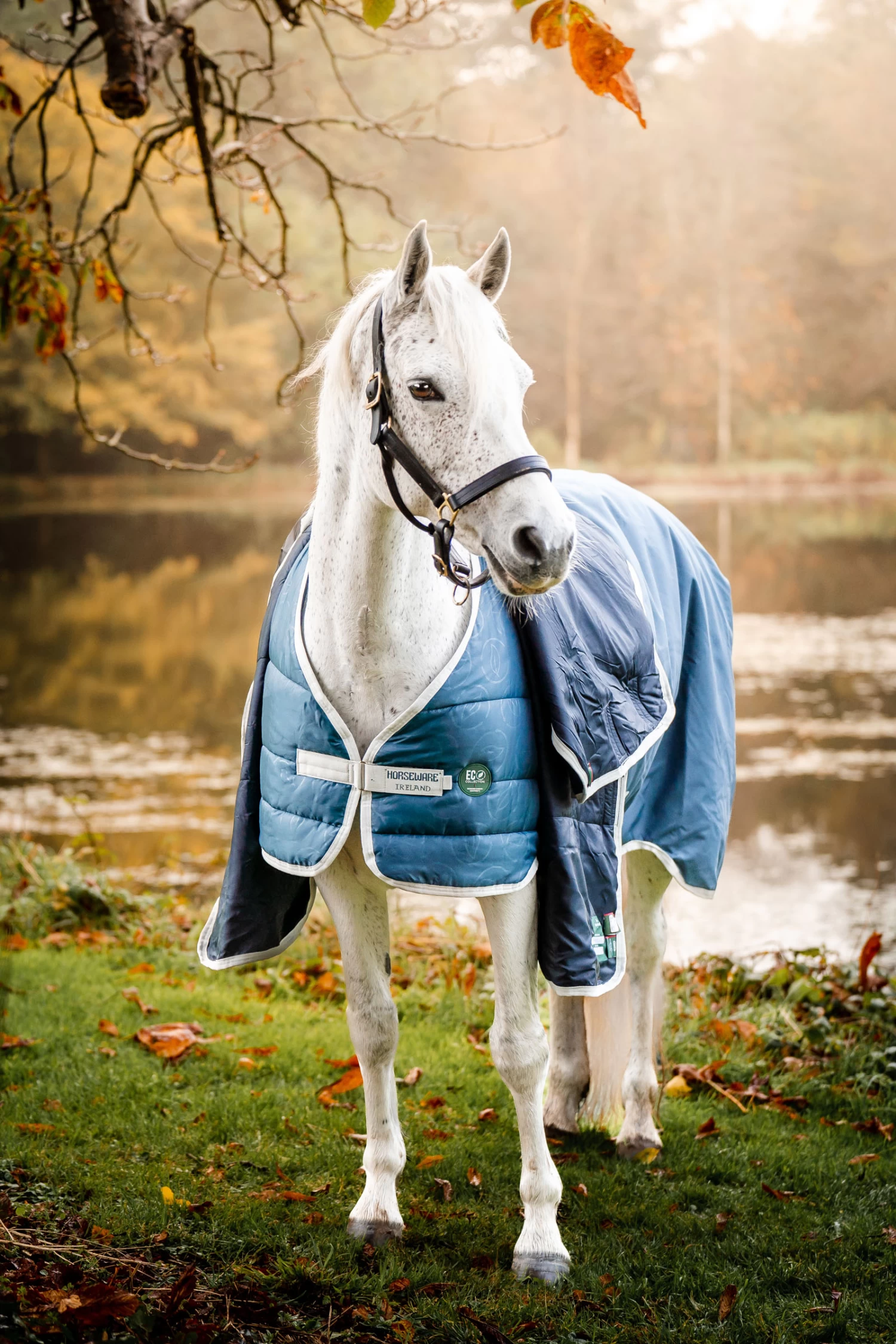 Horseware AmEco Liner, 100g – Bild 2