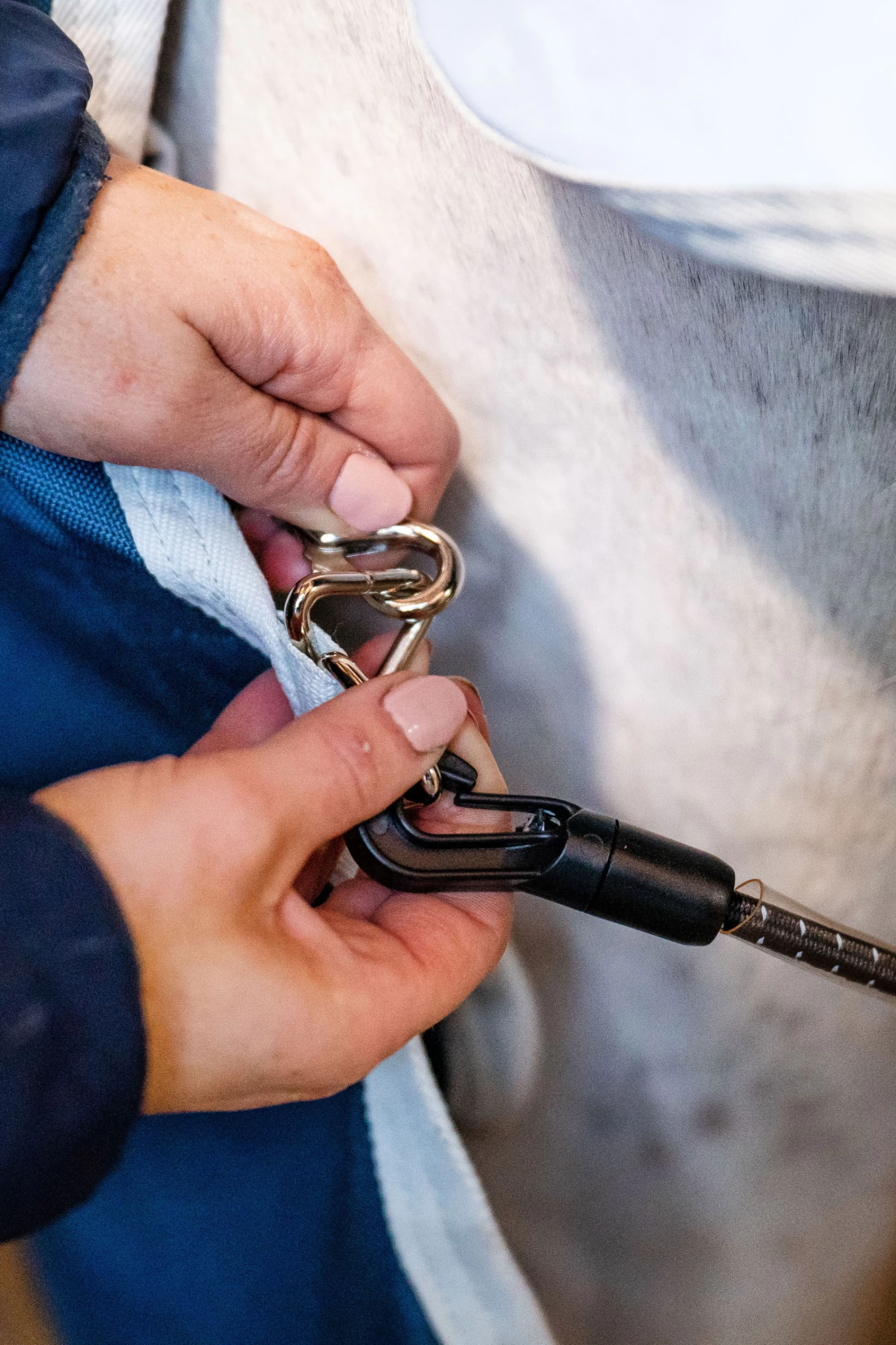 Horseware AmEco Liner, 100g – Bild 7