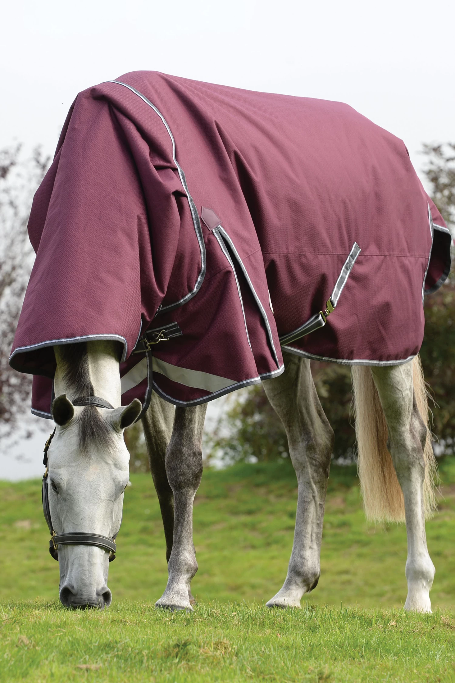 Weatherbeeta Comfitec Plus Dynamic II Detach-a-Neck Weidedecke Mit Abnehmbarem Halsteil, 360g – Bild 2